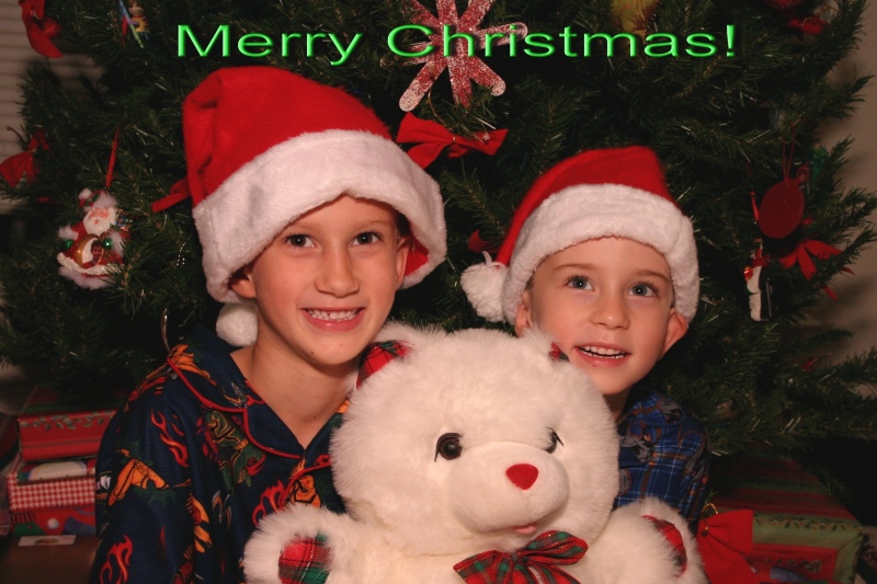 Hildebrand Christmas ScreenSaver/800x600_2006-12 CCard Chance Dax 33.jpg
